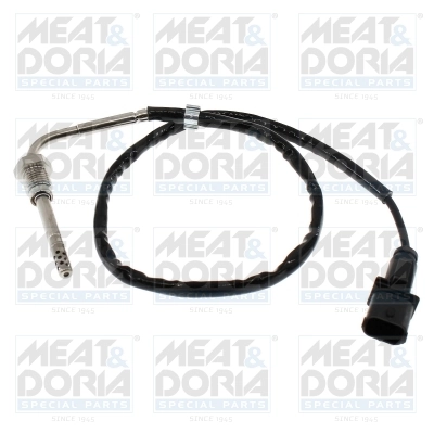 Sensor, exhaust gas temperature